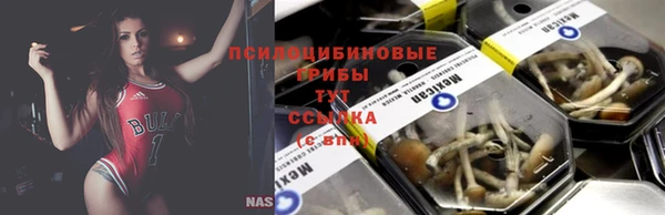 винт Беломорск